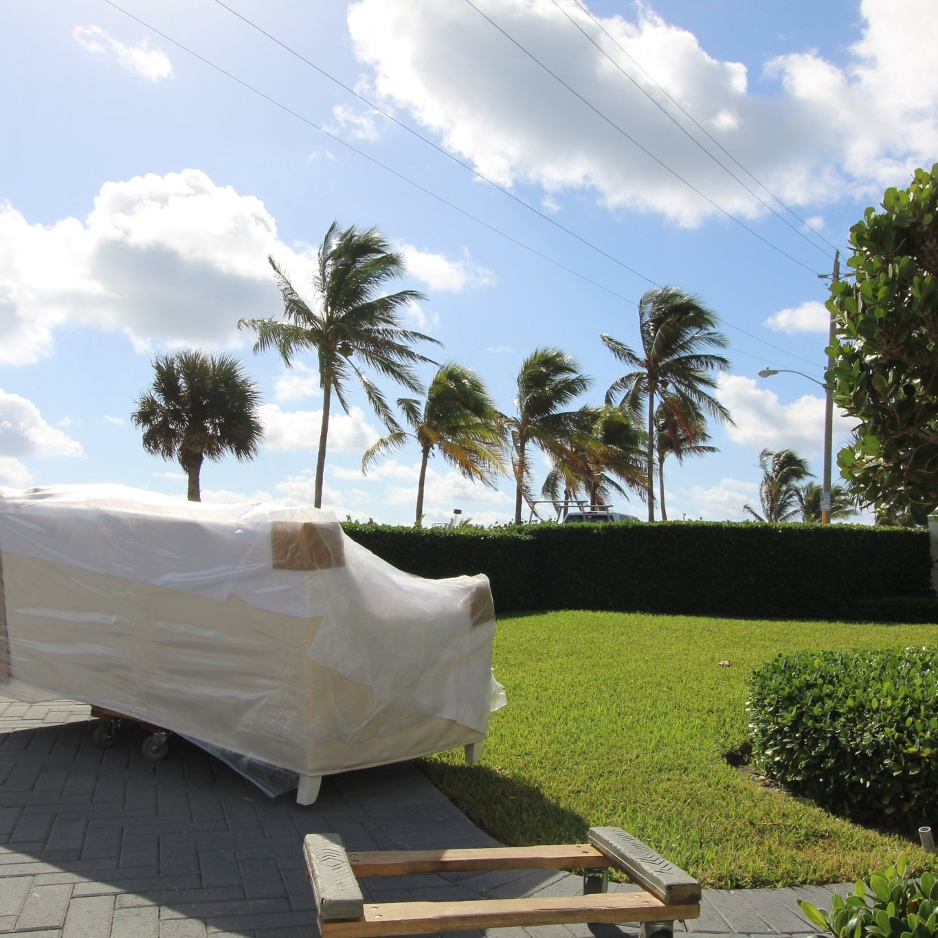 Palm Beach Design - The Grove