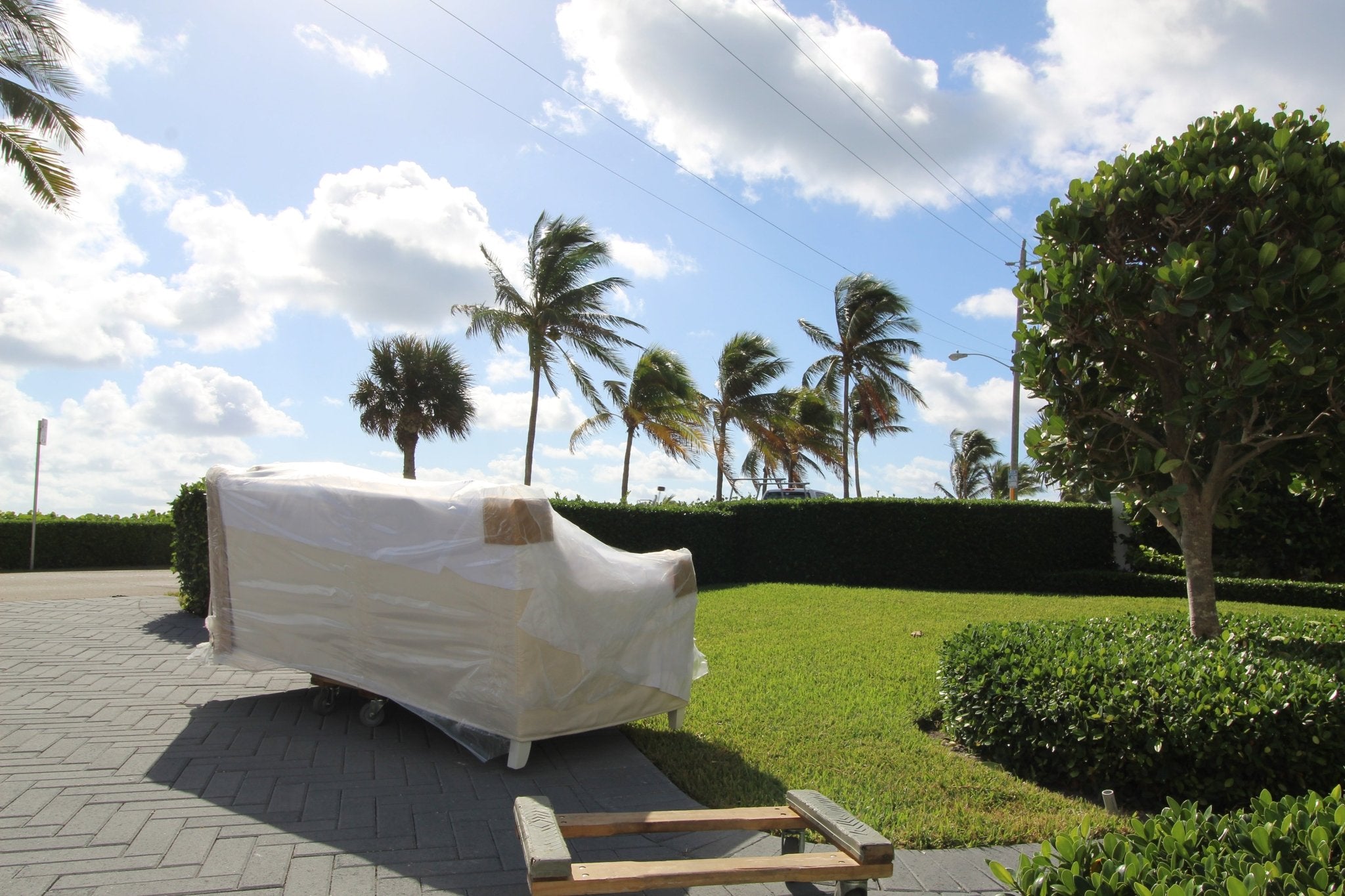 Palm Beach Design - The Grove