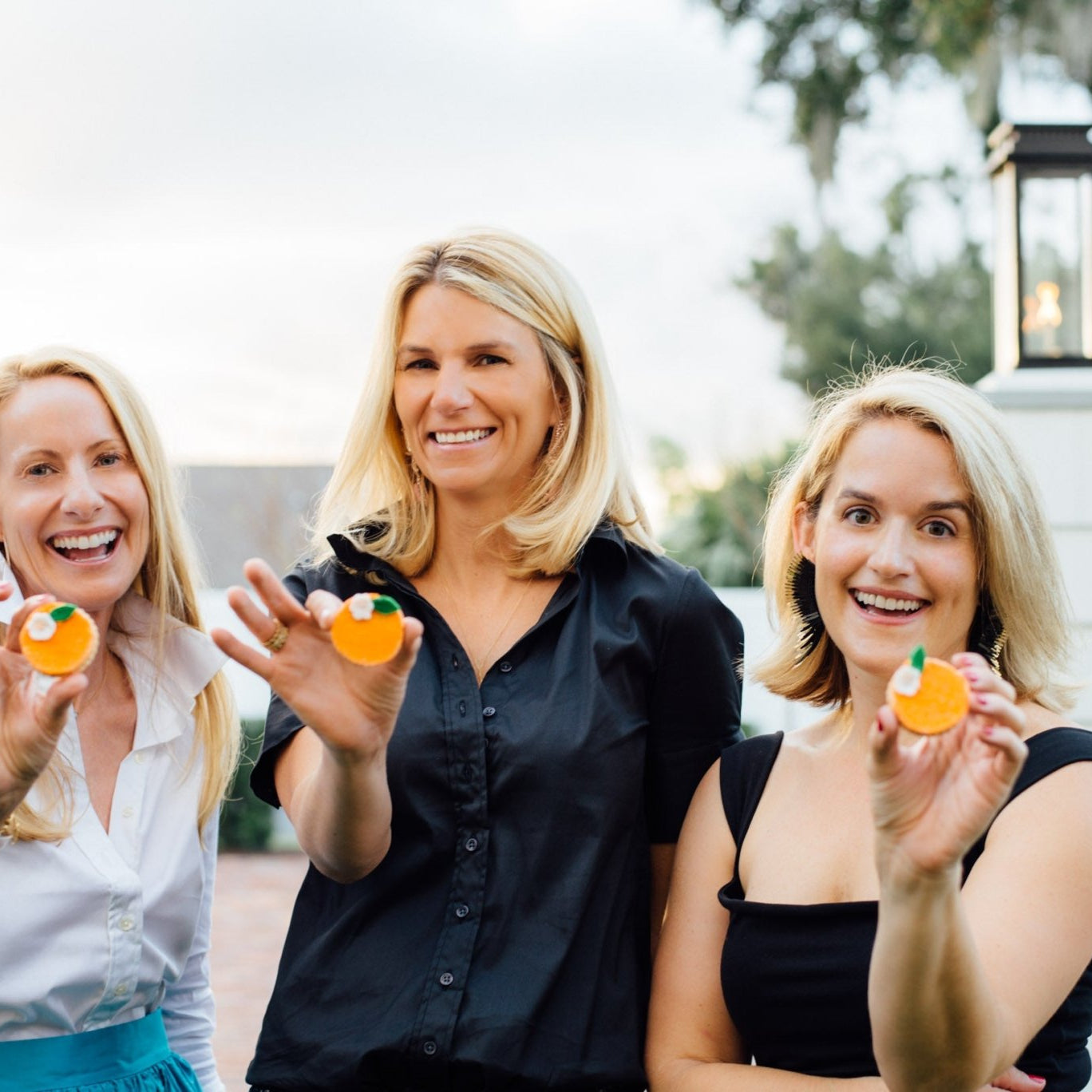 Wild Ride - The Grove