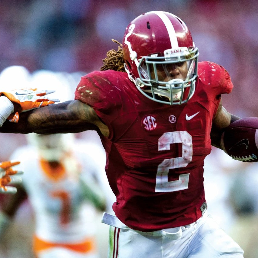 Nick Saban: A Career That Changed Alabama Football Forever - Book - Pediment Publishing - The Grove