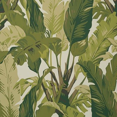 Travelers Palm Wallpaper-Wallpaper-Thibaut-The Grove