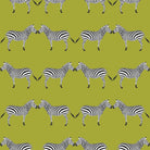 Zebras Chartreuse Wallpaper-Wallpaper-Liza Pruitt-The Grove