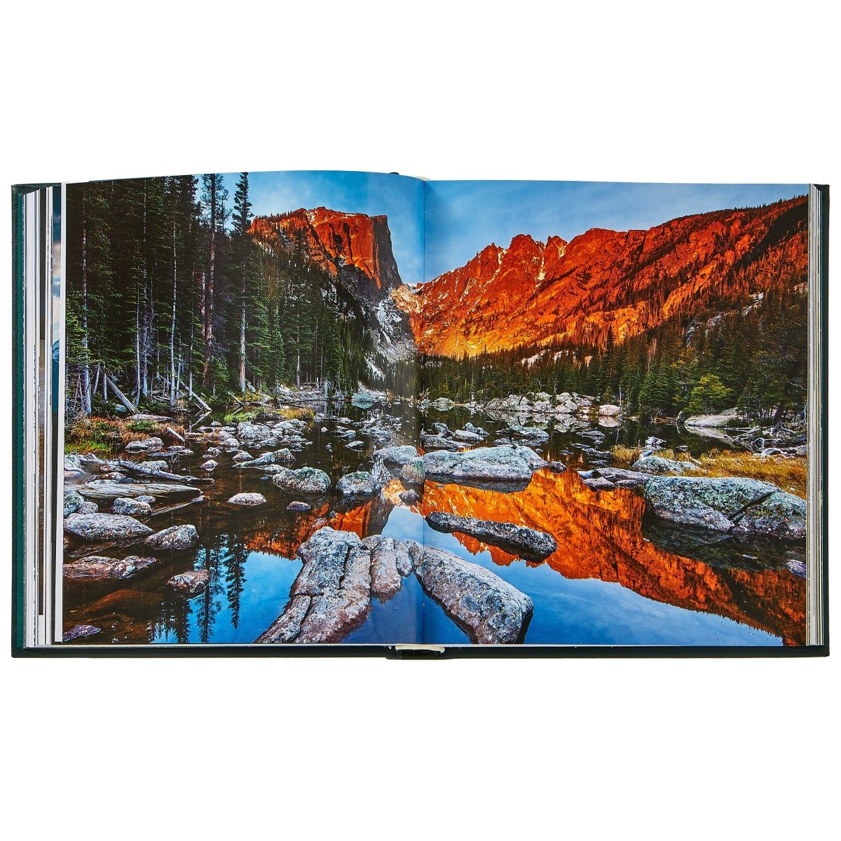 America's National Parks - Books - Graphic Image - The Grove