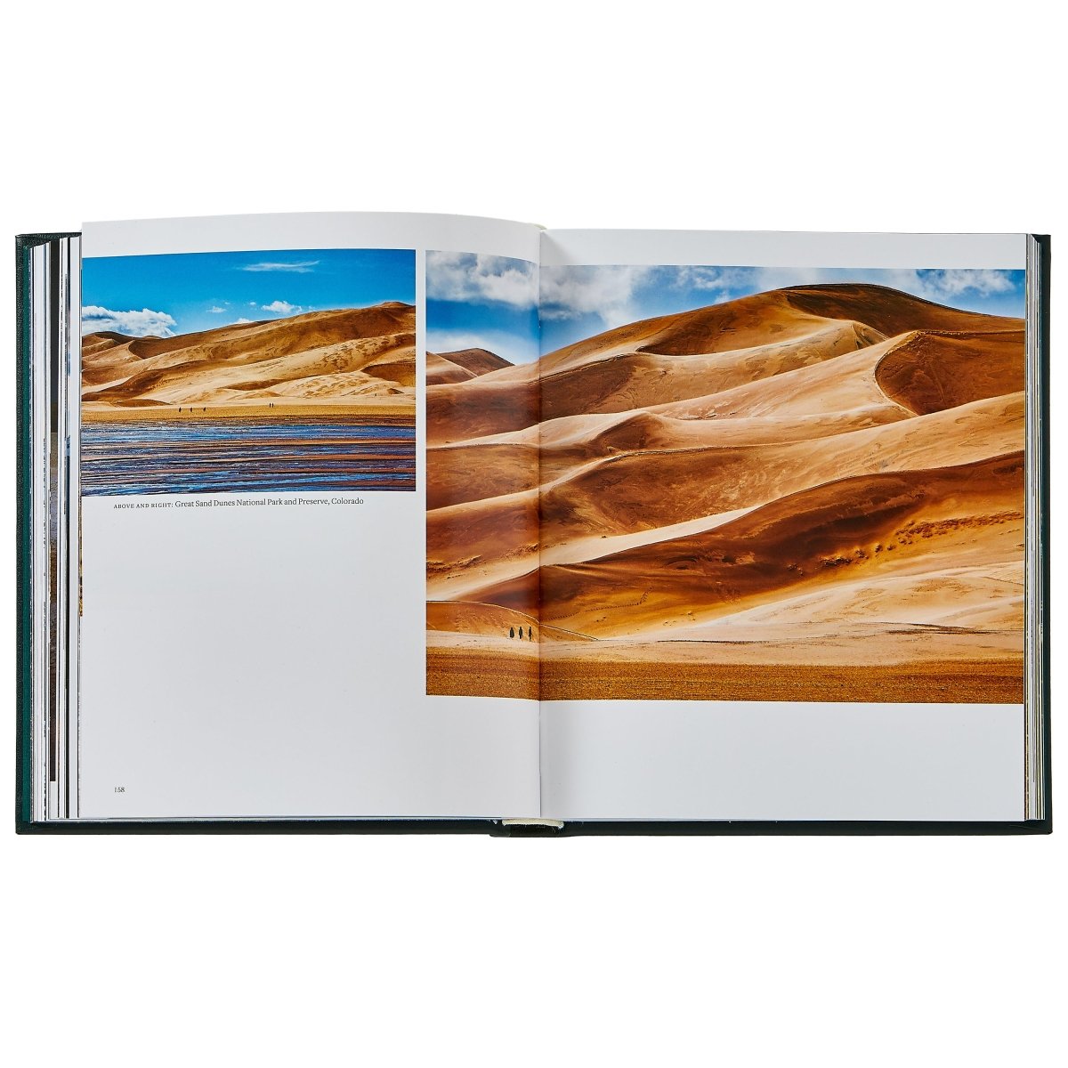 America's National Parks - Books - Graphic Image - The Grove