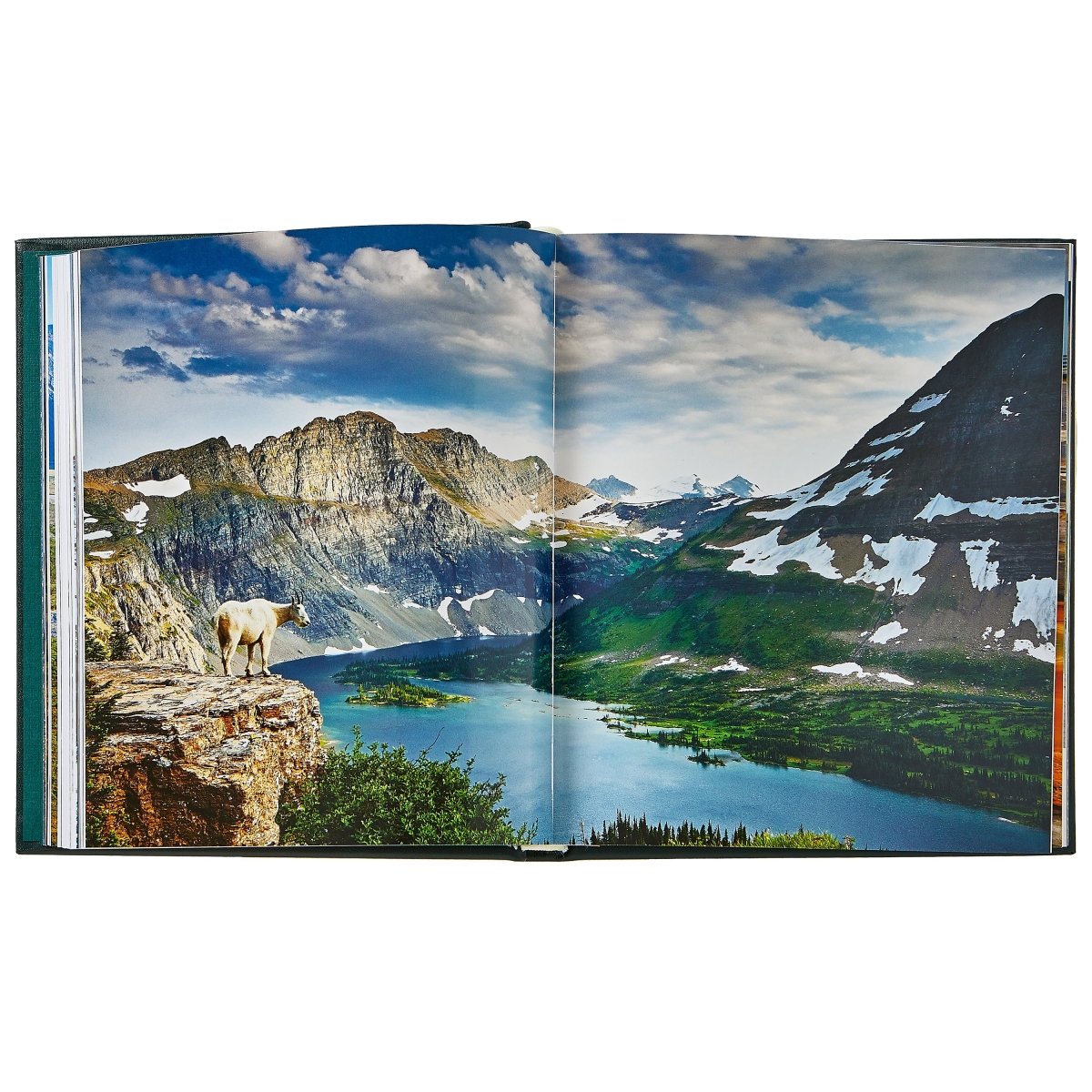 America's National Parks - Books - Graphic Image - The Grove