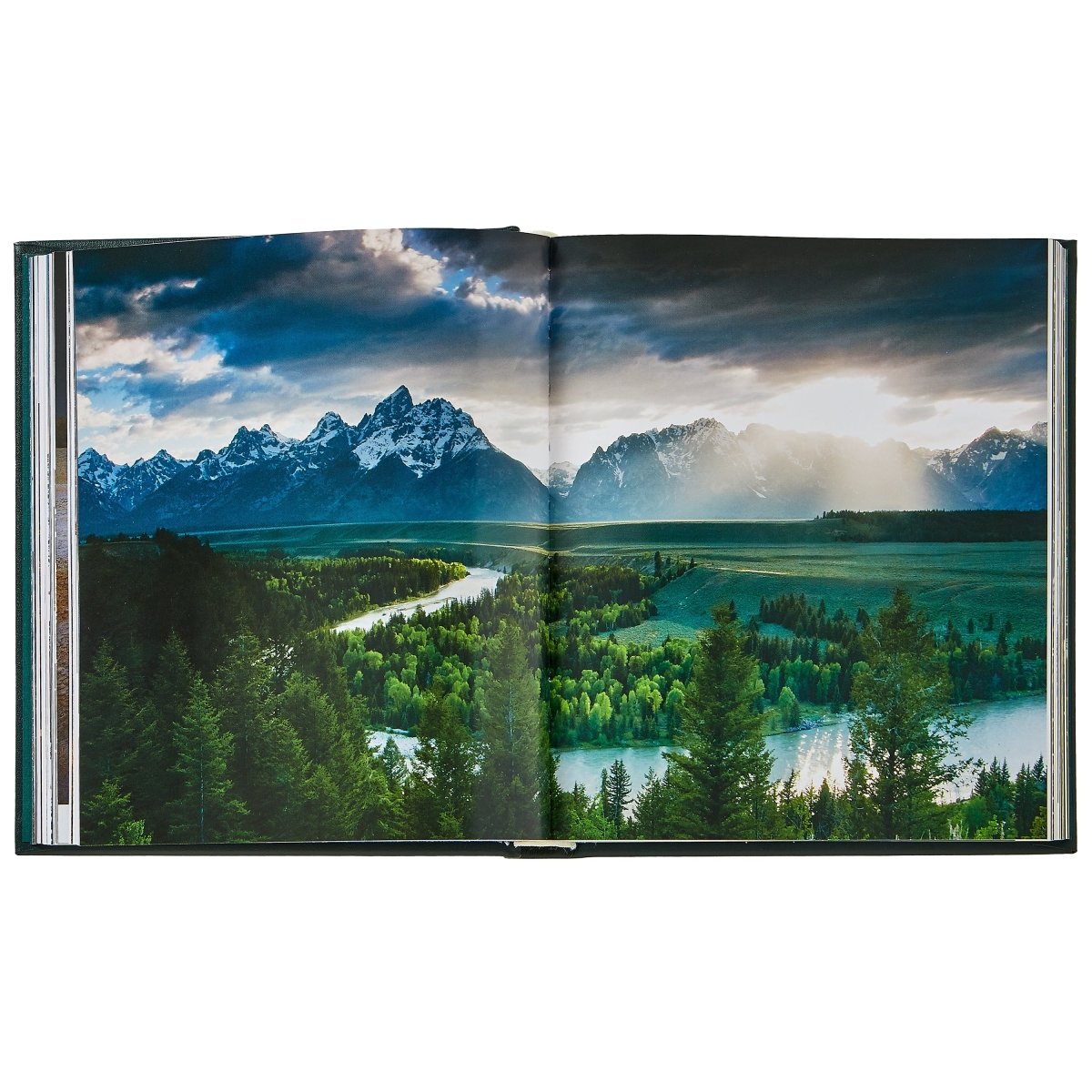 America's National Parks - Books - Graphic Image - The Grove