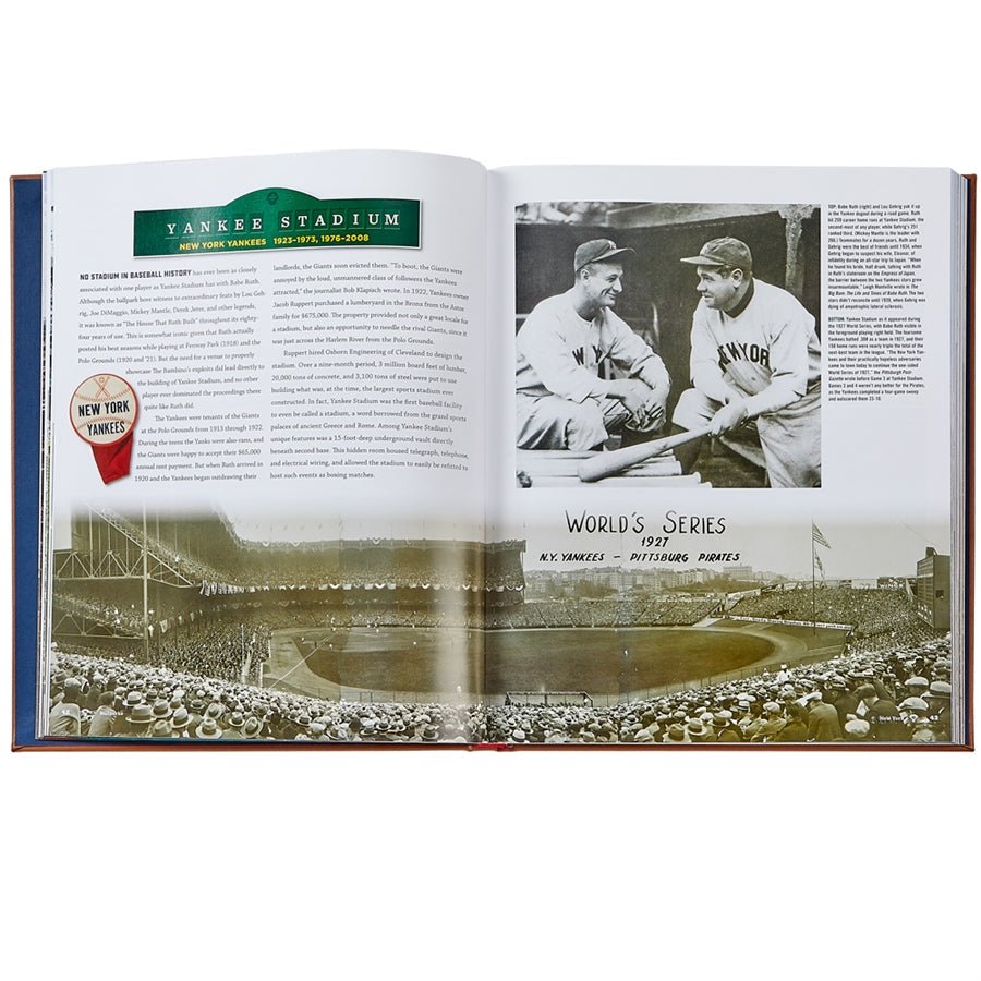 Ballparks Past and Present - Books - Graphic Image - The Grove