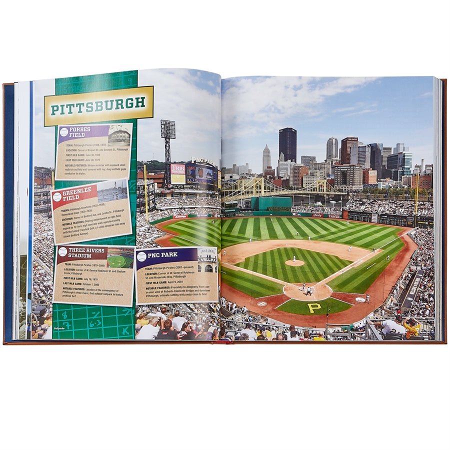 Ballparks Past and Present - Books - Graphic Image - The Grove