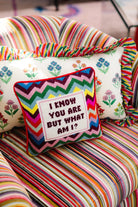 But What Am I Needlepoint Pillow - Throw Pillows - Furbish Studio - The Grove