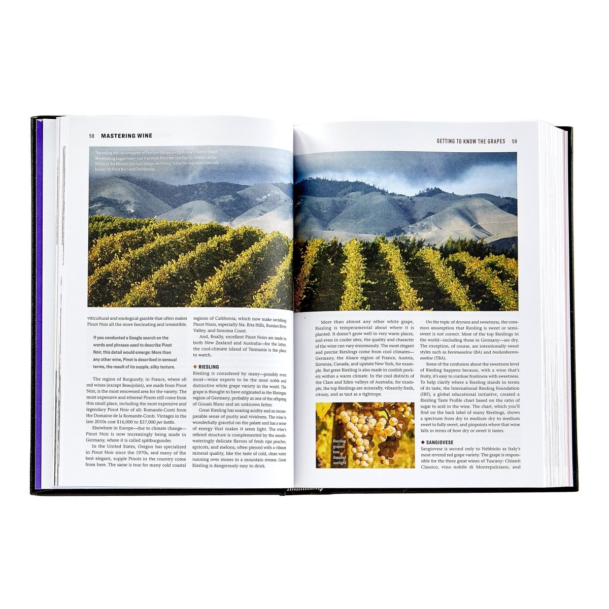 The Wine Bible - Books - Graphic Image - The Grove