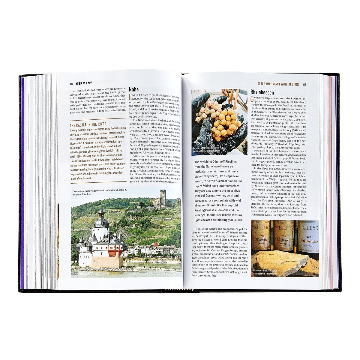 The Wine Bible - Books - Graphic Image - The Grove