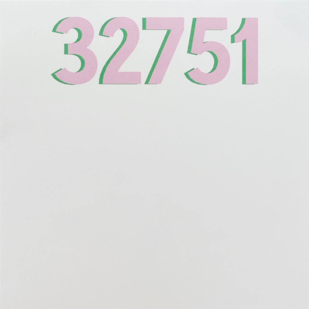 32751 Chubbie Zip Code Notepad | Pink & Green-Notebooks & Notepads-Donovan Designs-The Grove