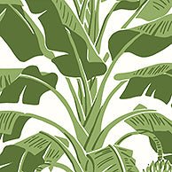 Banana Tree Wallpaper-Wallpaper-Thibaut-The Grove