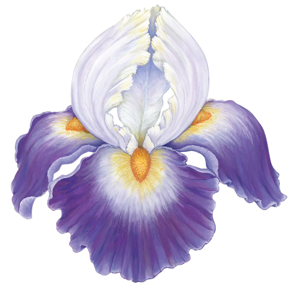 Die Cut Iris Placemat-Paper Placemat-Clementine WP-The Grove