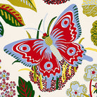 Exotic Butterfly Wallpaper-Wallpaper-Schumacher-The Grove