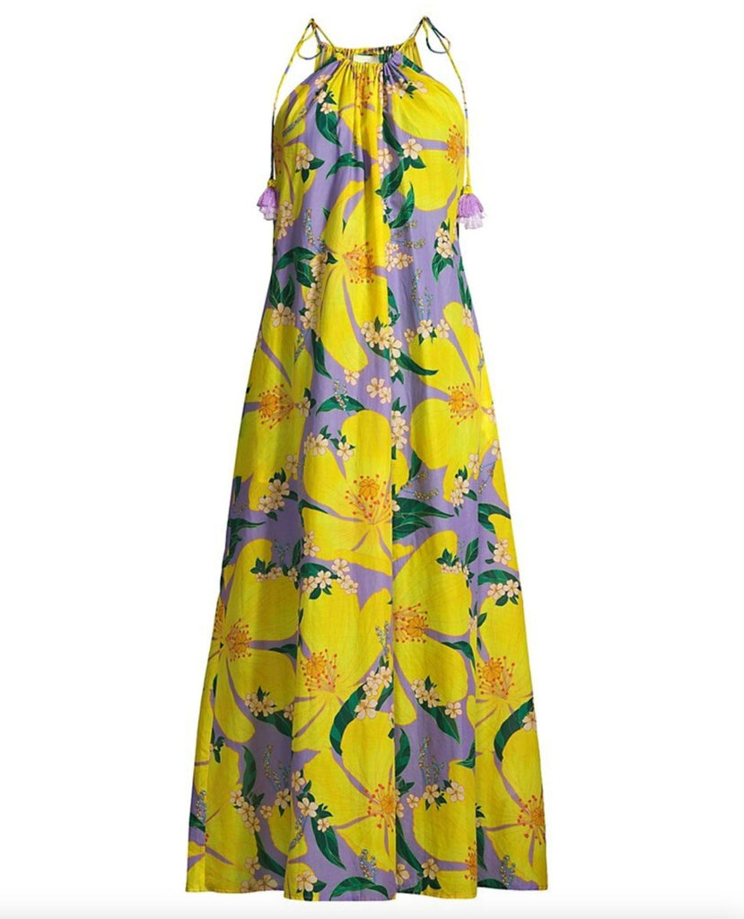Pietra Floral Cover-Up Maxi Dress-Dresses-FARM Rio-The Grove