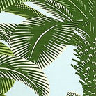 Queen Palm Wallpaper-Wallpaper-Thibaut-The Grove