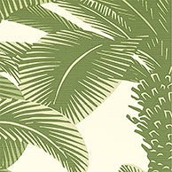 Queen Palm Wallpaper-Wallpaper-Thibaut-The Grove