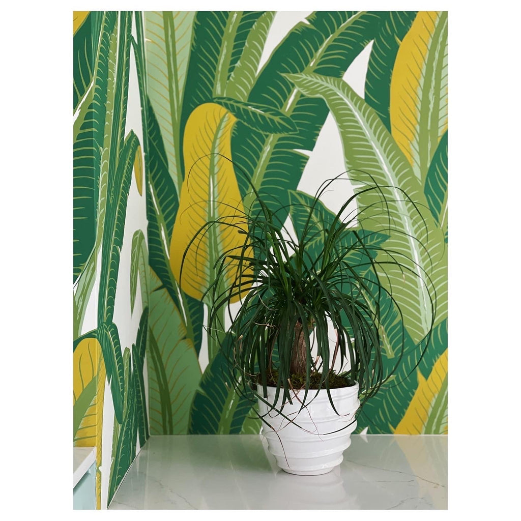 Tropical Isle Wallpaper-Wallpaper-Schumacher-The Grove